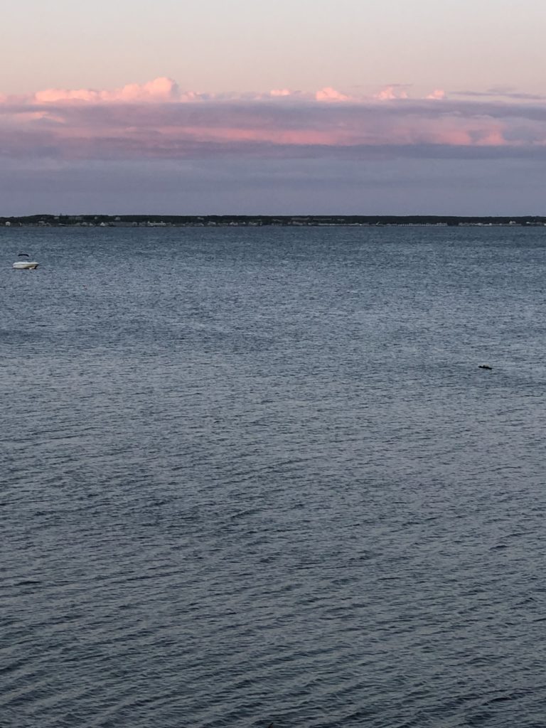 pink and blue clouds in sunset over water